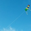 The first picture I took of Julie, at our second date, kite-flying at Lake Crabtree.