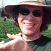 Picking strawberries.